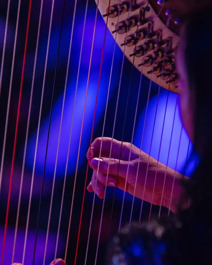 Close view of a harpist’s hand and strings under blue stage light by Andreas Düren