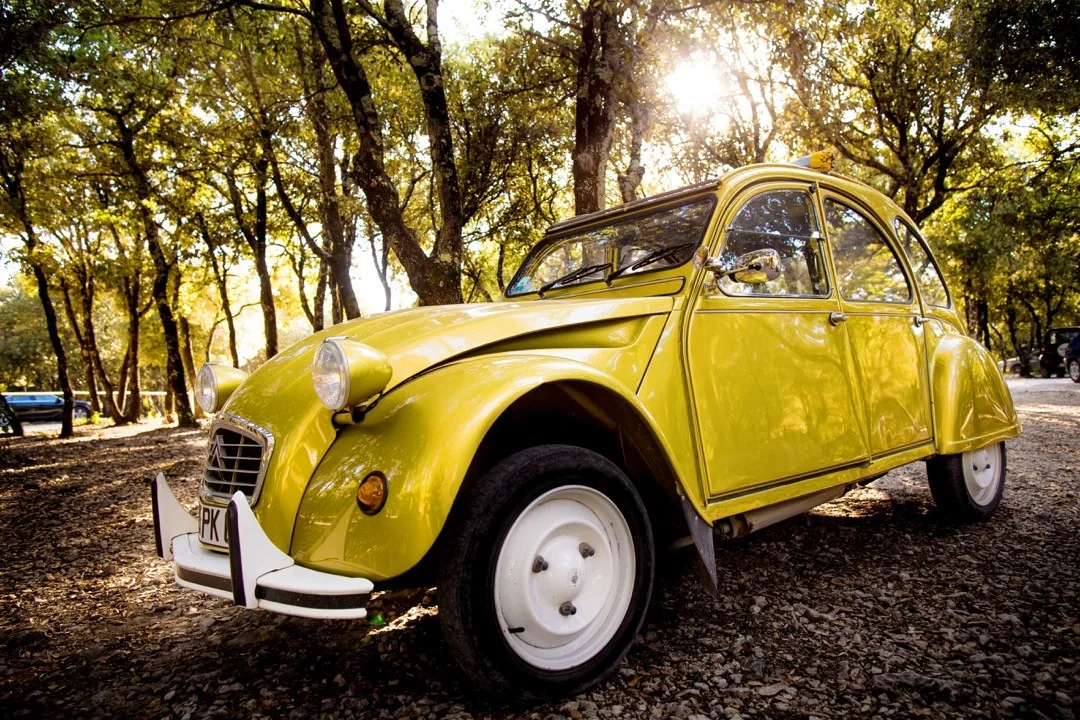 Yellow Citroën 2CV parked beneath trees by Andreas Düren