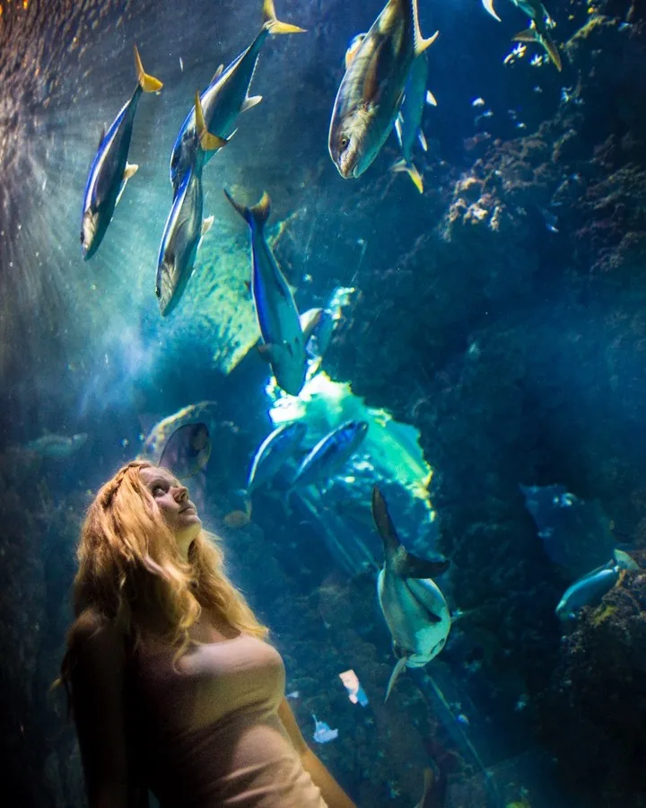 Woman looking up at fish inside an aquarium by Andreas Düren