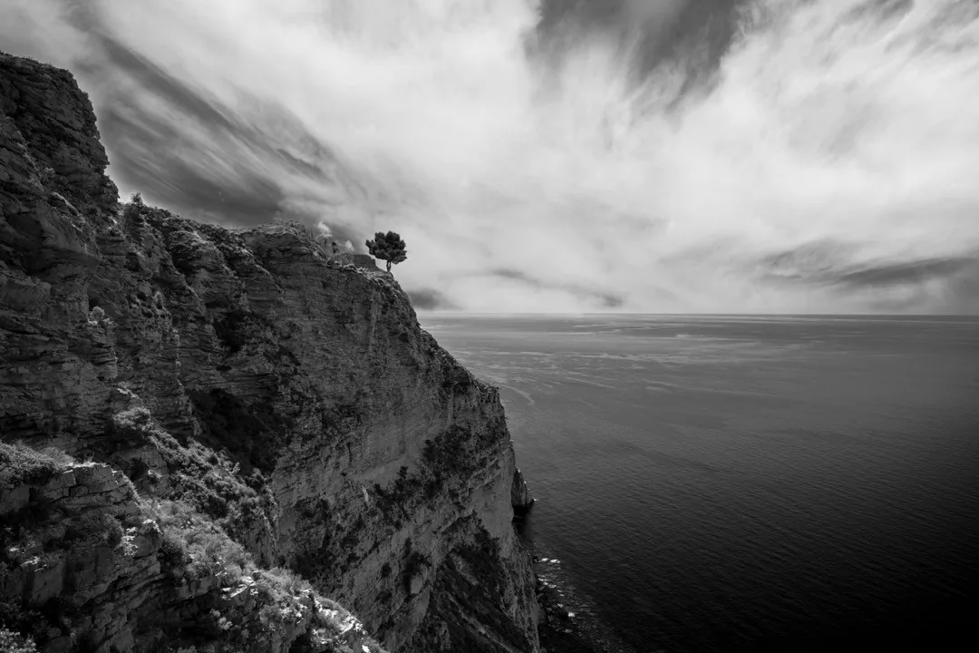 Black-and-white coastal cliff and lone tree beneath sweeping clouds by Andreas Düren