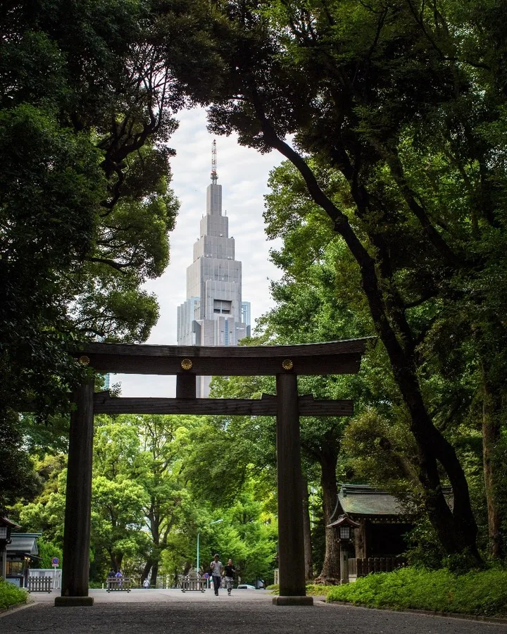 Torii gate framing a modern Tokyo skyscraper through trees by Andreas Düren